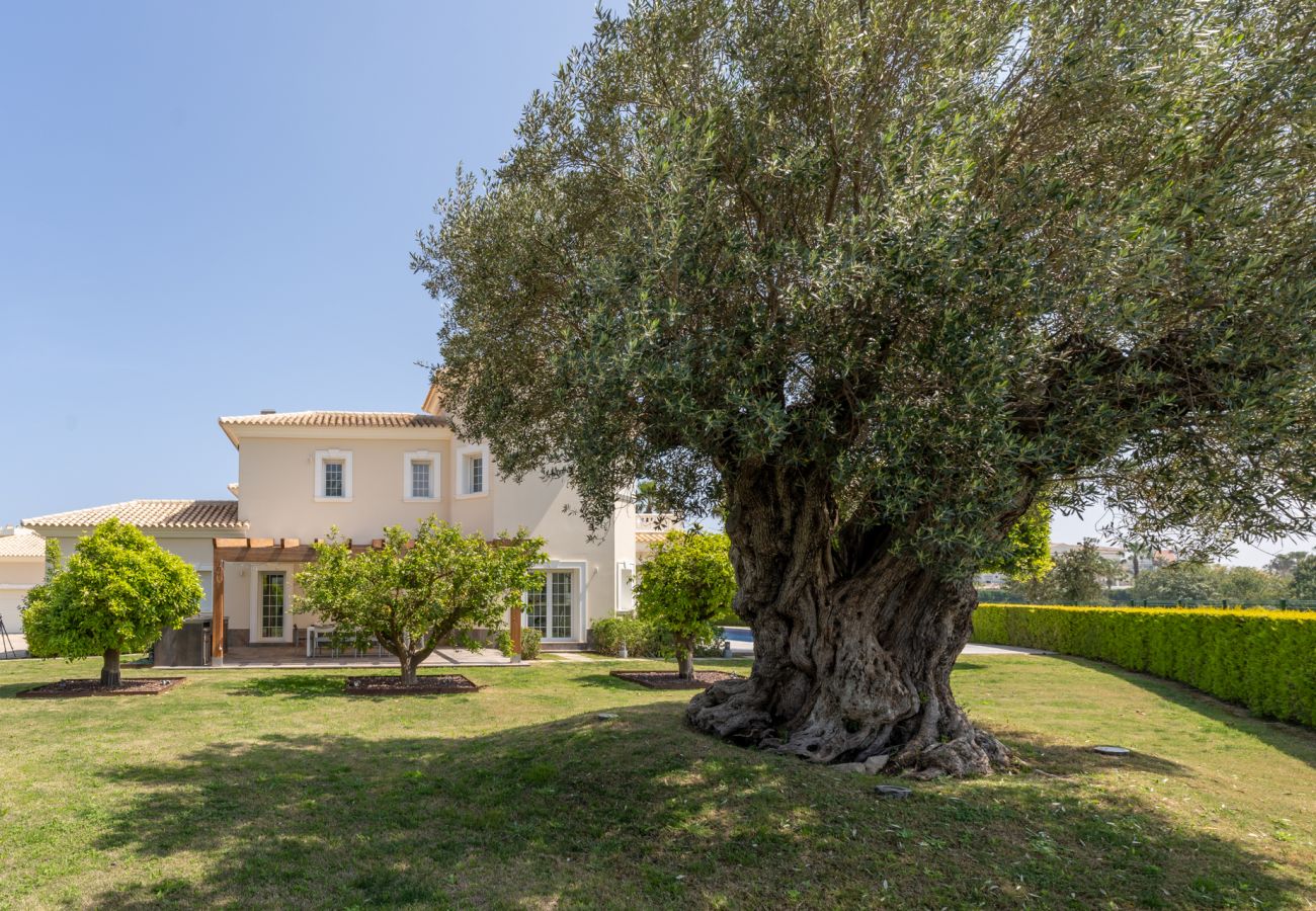 Villa en Oliva - Villa Panorama 